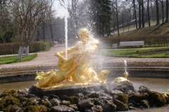 RUS 315